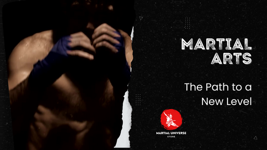 Martial Arts 💥 The Path to a New Level!
